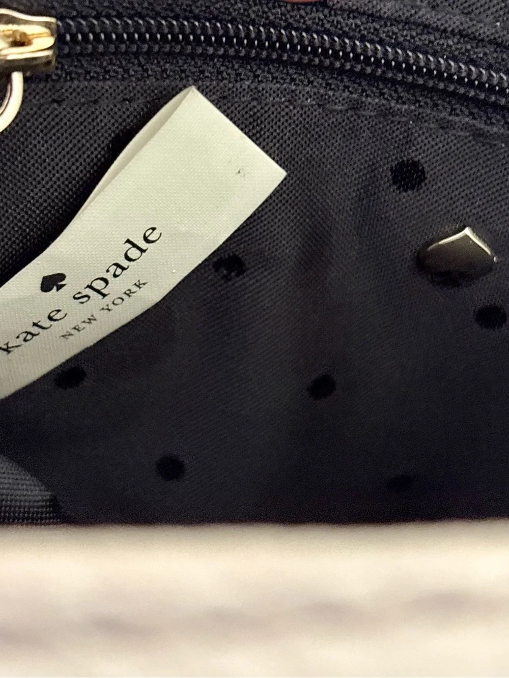 Kate Spade Cecil Court Bobi Mini Crossbody Bag